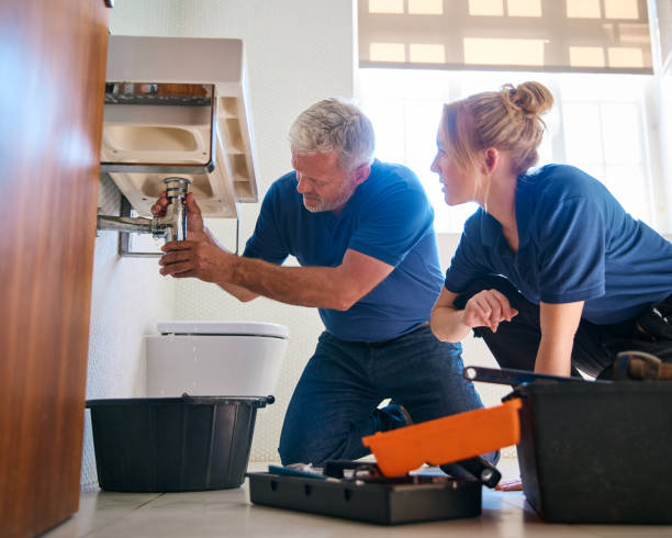 Best Plumbing Inspection Services  in Paincourtville, LA